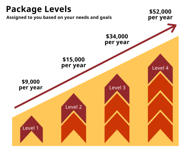 Home care package level 1 is $9000 per year, level 2 is $15000 per year, level 3 is $34000 per year, and level 4 is $52000 per year